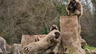 Ford trip, Parco Natura Viva