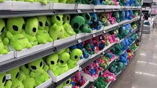 Fotr na tripu 12, Roswell