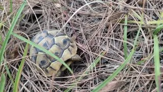 Balkánský roadtrip - 2. část