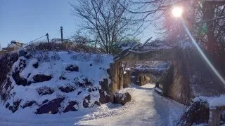 Zoo Praha