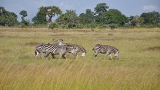 Safari v srdci Afriky