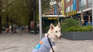 S pejskem na Route 66