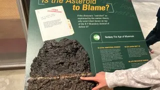 Fotr na tripu 10, dinosauři