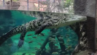 Vánoční trhy - Wroclaw