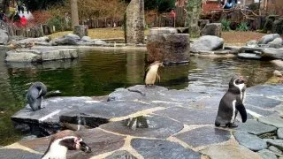 Zoo Praha