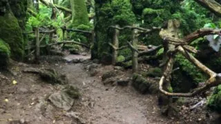 Hikerské dobrodružství v Británii 8