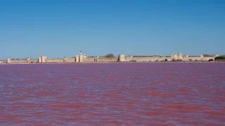 Kolem světa po Evropě: Kvůli růžovému jezeru a plameňákům není nutné jezdit do Afriky, stačí Francie