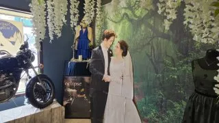 Forks, Twilight