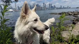 Fotr na tripu 10, Toronto Islands