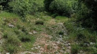 Istrie na horském kole