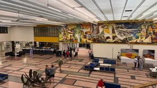 Fotr na tripu 10, Newfoundland