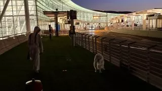 Fotr na tripu 10, návrat