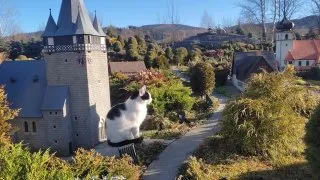 Vánoční trhy - Wroclaw