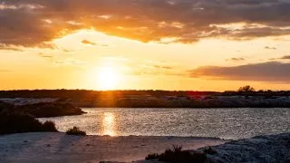 Ford trip, Camargue