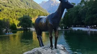 Trip Slovinsko 2026, komunita