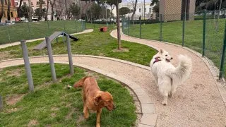 Fotr na tripu 11, Tirana