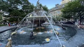 Fotr na tripu 10, psí fontána