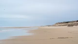 Ford trip, Duna du Pyla