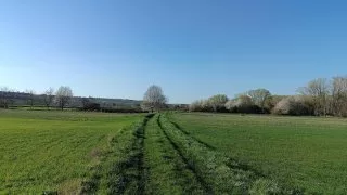Neusiedler See