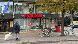 Fotr ve Finsku, design