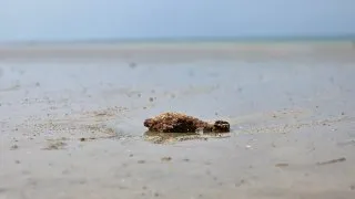Normandie dělostřelecký granát