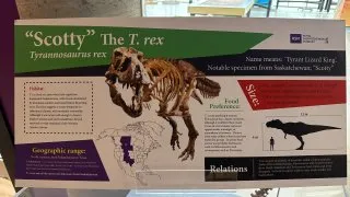 Fotr na tripu 10, dinosauři