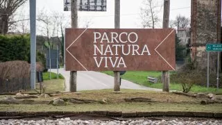 Ford trip, Parco Natura Viva
