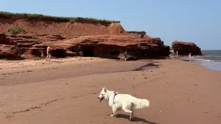 Fotr na tripu 10, Ostrov prince Edwarda