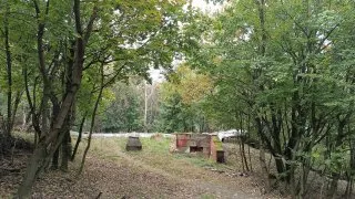 Devínská Kobyla