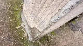 Fotr na tripu 11, Neapol