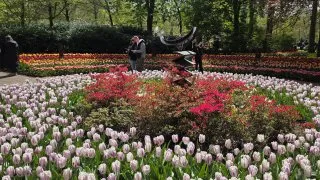 Keukenhof