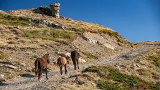 Dacia Bigster, trip Itálie, Bruncu Spina