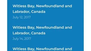 Fotr na tripu 10, velryby