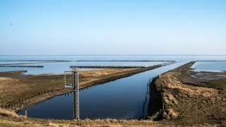 Subaru trip Dánsko, Romo, Mando