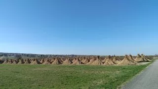 Neusiedler See