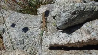 Hike na Korsice