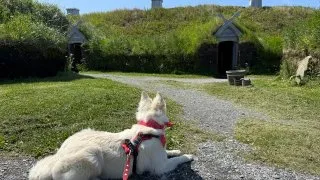 Fotr na tripu 10, Newfoundland