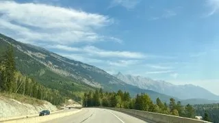 Fotr na tripu 10, medvědi